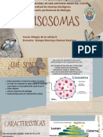 Lisosomas