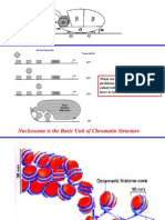 Lecture For 9-24-03