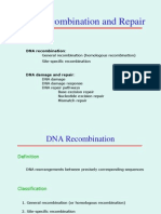 DNA Repair