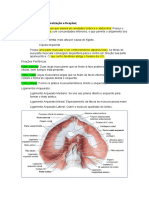 Abdome 3 PDF