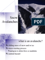 Avalanches