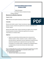 13-Músculos Del Esqueleto Apendicular