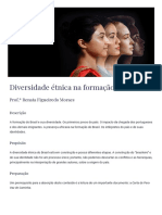 Diversidade Étnica Na Formação Do Brasil