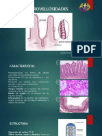 Diapositiva Mesa - A3