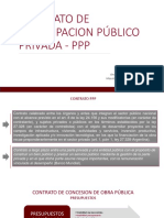 Contrato de Participacion Público Privada - PPP: Ana Patricia Guglielminetti Maestría en Compras Públicas