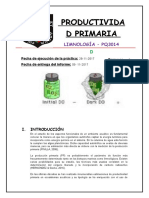 Productividad Primaria