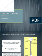 RX M Anterior y Posterior