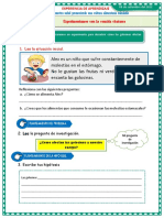 Ficha Ciencia 08-09