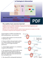 Why Regulation of Gene Expression Is Important?