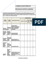 Formato Matriz de Jerarquizacion