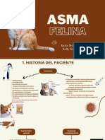 Asma Felino