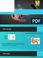 Pancreatitis