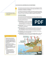 Ciclo Del Carbono y Nitrogeno