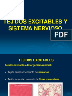 Tejidos Exitables Sinapsis - Clase 7