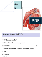 Pectoral Regions & Shoulder & Axilla