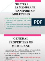 Biologi CHP 6 Sem 1