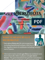 Gut Microbiota