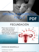 Origen y Desarrollo Fetal II