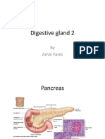 Digestive GL 2