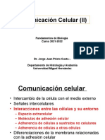 03 - Comunicación Celular (II) 2021-2022