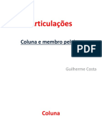 Articulações - Coluna e Pelvino