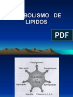 Metabolismo de Lipidos