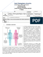 Plan 20 Ciencias Naturales 7mo