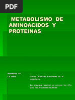 Metabolismo de Aminoacidos y Proteinas