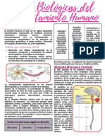 Bases Biológicas Del Comportamiento Humano