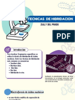 Tecnicas de Hibridacion - Zullydelprado