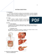 Apostila Do Sistema Digestorio
