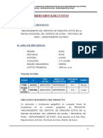 Resumen Ejecutivo - Acora