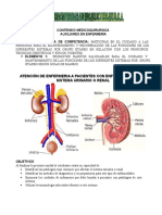 Contenido Sistema Renal