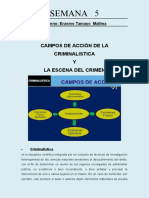 SEMANA 5 - CAMPOS DE ACCION DE LA CRIMINALISTICA Y LA ESCENA DEL CRIMEN Alumno Erasmo Tamayo Mallma