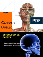 Cabeza y Cuello