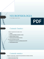 NEUROFISIOLOGIA