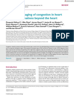 Ultrasound Imaging of Congestion in Heart Failure Examinations Beyond