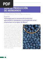 Guia Productiva Del Arandano