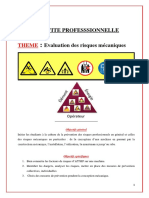 PRATIQUE PROFESSIONELLE Licence