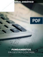 Fundamentos Da Gestão Contábil