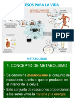 Período 3 - Procesos para La Vida.