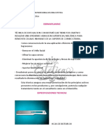 Dermaplaning Virtual PDF