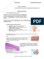 Guia de Comprension Lectora para Activida N8