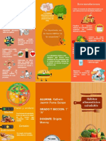 Triptico de Alimentacion Saludable 11