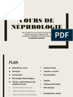 Cours de Néphrologie Master 1 Ulpgl