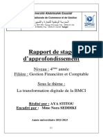 Rapport de Stage D'approfondissement