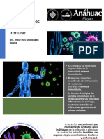 Generalidades Del Sist Inmune