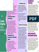 Cuadro Sinóptico Fisica