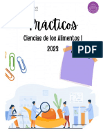 Practicos Cai 2023