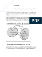 TRANSFORMACIONES LINEALES-CONSULTA Suje